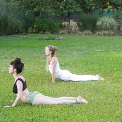 Yoga en Argentina Enero 2015-2016