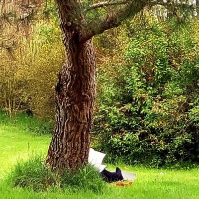 Meditación con Yantras