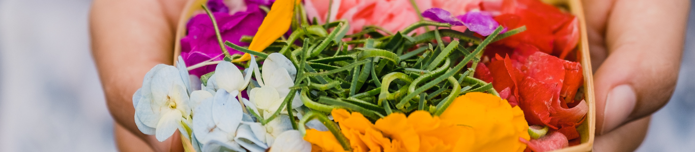 Ofrenda